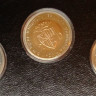 IMAG9006.jpg