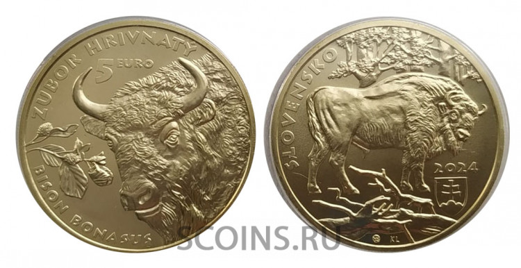 Словакия 5 евро 2024 Европейский Бизон (Зубр) 