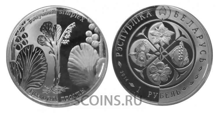 Беларусь 1 рубль  2014 Возрожденные растения - Гроздовник простой
